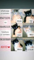 *Nome nas fotos