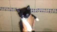 *Nome nas fotos