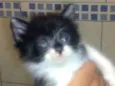 *Nome nas fotos