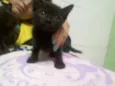 *Nome nas fotos