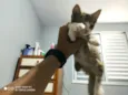 não tem 