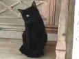 Teo