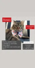 Romeo