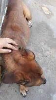 Spyk