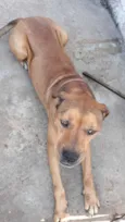 Spyk