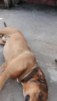 Spyk