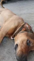 Spyk