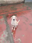 Bella