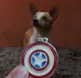 Steve Rogers