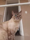 Frida