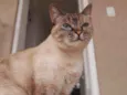 Frida