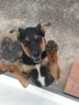 Pandora 