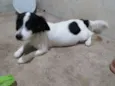 Nina