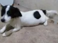 Nina