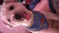 Bartholomew e Barney