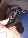 Bombom