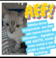 Agripino