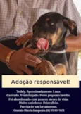 Toddy