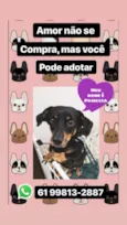 Princesa