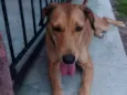 Não sei