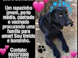 Bernardo