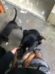 Lucky