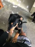 Lucky