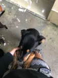 Lucky