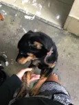 Lucky