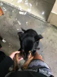 Lucky