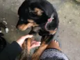 Lucky