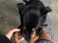 Lucky