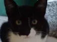 Tom
