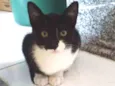 Tom