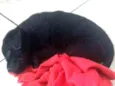 Sirius