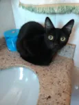 Valentina linda bebê