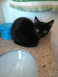 Valentina linda bebê