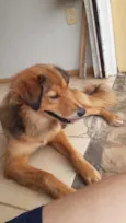 Tobias