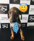 Hugo