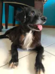 Cocó
