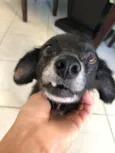 Cocó