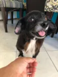 Cocó