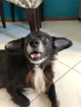 Cocó