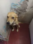 Ted