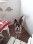 Nina