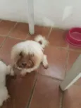 Bolinha