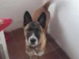 Nina