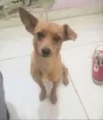 Nina