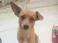Nina