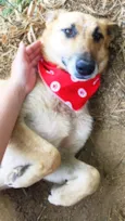 Lua